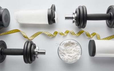 protein fat burning and feeding muscles